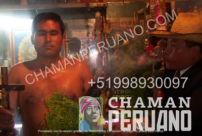 Historia Chamán Peruano - trayectoria